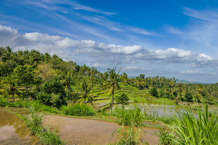 East Bali